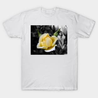 The Yellow Friendship Rose T-Shirt